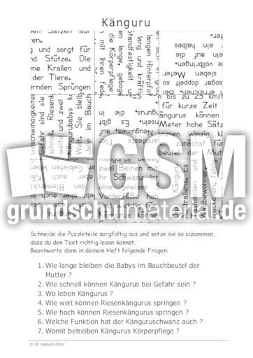 Känguru.pdf